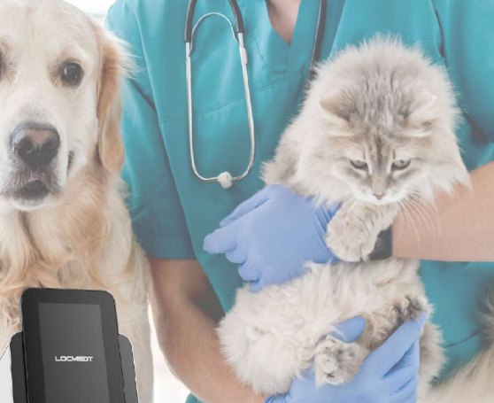 Pathology <br> testing