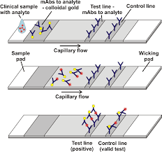 imagen no encontrada