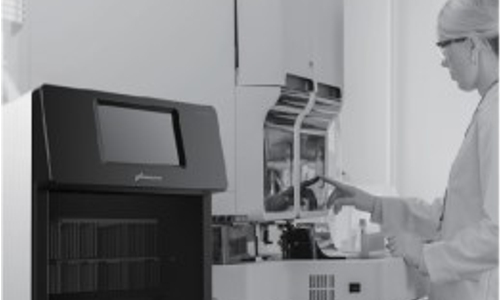 imagen no encontrada